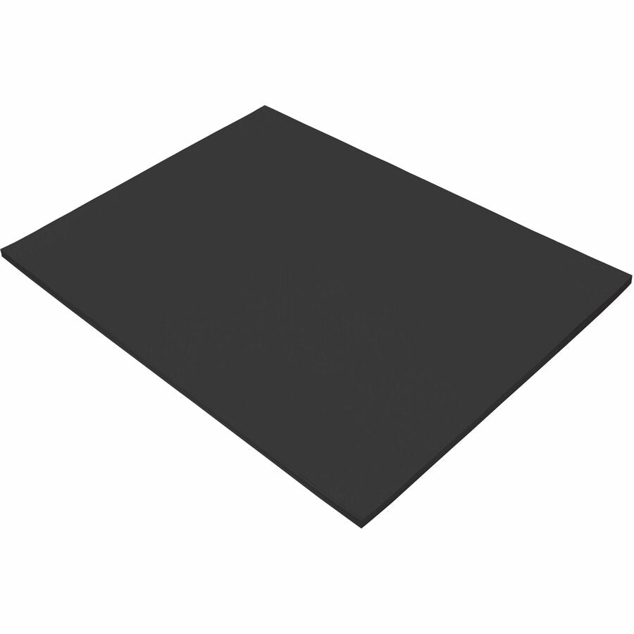 Tru-Ray Construction Paper - Project, Bulletin Board - 24" Width x 18" Length - Black - Sulphite - 50 / Pack