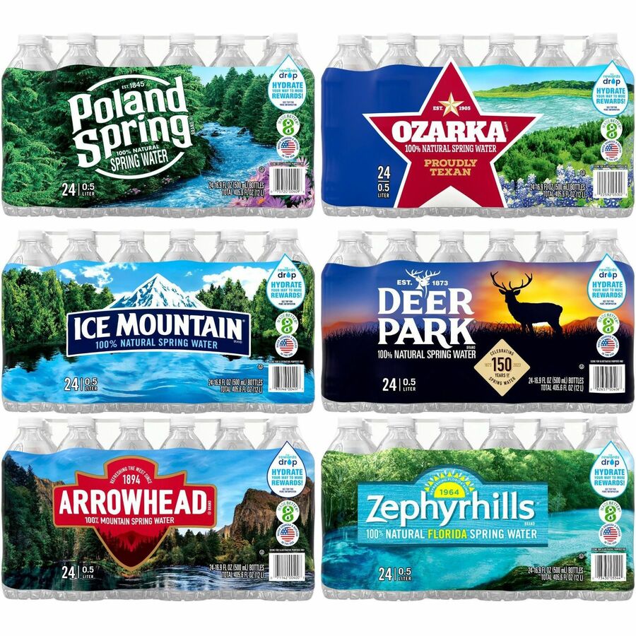 Primo Brands Premium Bottled Spring Water - Ready-to-Drink - 16.91 fl oz (500 mL) - 24/Carton - 78 / Pallet