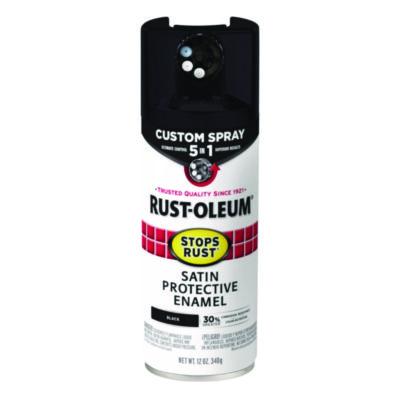 RST376869EA PAINT,S 5IN1 SPR,12OZ,BK
