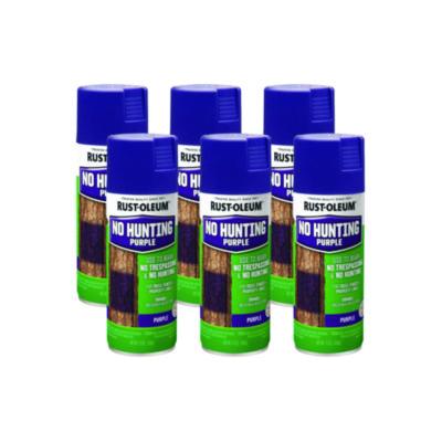 RST270970CT PAINT,NOHT 12OZ,PP