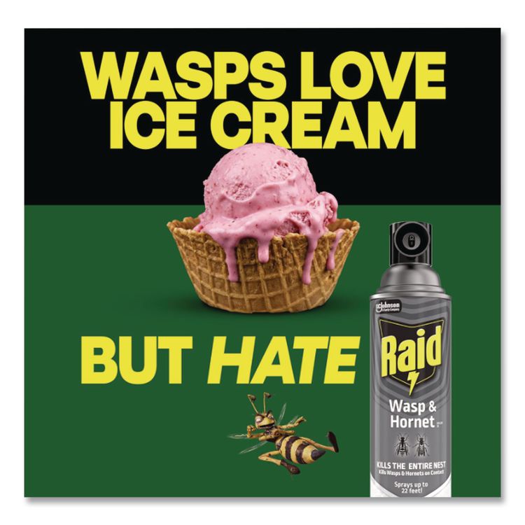 Wasp and Hornet Killer, 14 oz Aerosol Spray (Each)