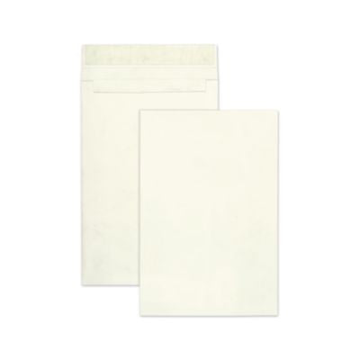 QUAR4520 ENVELOPE,TYVEK,12X16X2EXP