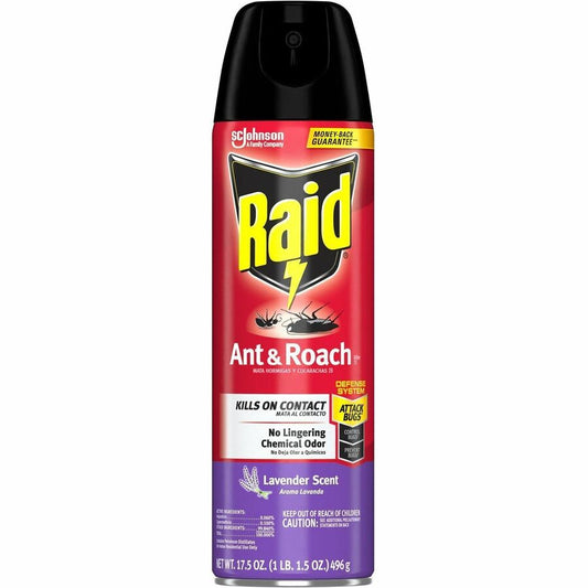 Raid Ant & Roach Killer Spray - Spray - Kills Water Bugs, Palmetto Bug, Silverfish, Carpet Beetle, Earwig, Spider, Asian Ladybeetle, Lady Beetle, Black Widow Spider, Ants, Cockroaches, ... - 17.50 fl oz - Red - 12 / Carton
