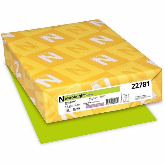Astrobrights Color Card Stock - Terra Green - Letter - 8 1/2" x 11" - 65 lb Basis Weight - Smooth - Green Seal - Acid-free, Lignin-free, Durable, Heavyweight - Terra Green - 1 Pack