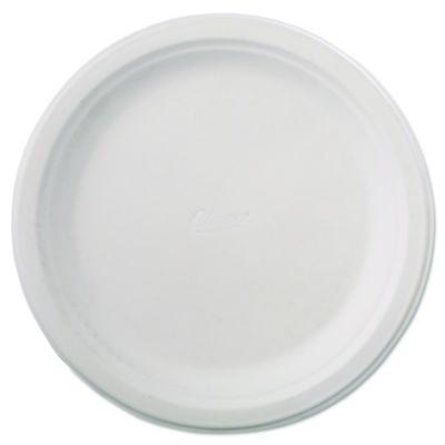 HUH21232 PLATE,CHINET PRM,9.75",WH