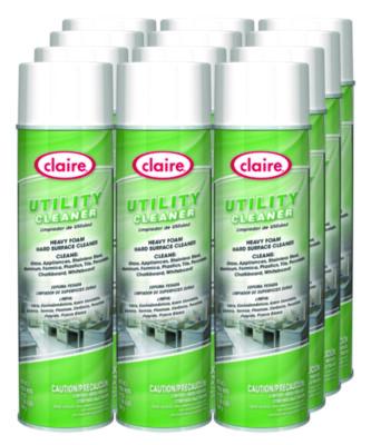 CGC862 CLEANER,UTLTY,12,WH