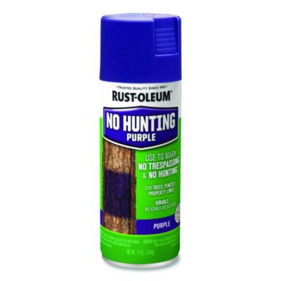 RST270970 PAINT,12OZ,H SP,PP