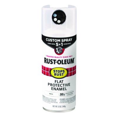 RST376856EA PAINT,F 5IN1 SPR,12OZ,WH