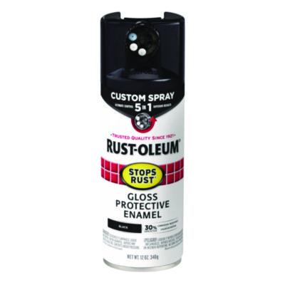 RST376884EA PAINT,G 5IN1 SPR,12OZ,BK