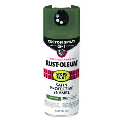 RST383421EA PAINT,5IN1 SPR,12OZ,GN