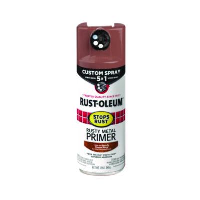 RST384755EA PAINT,5IN1 SPR 12OZ,RT