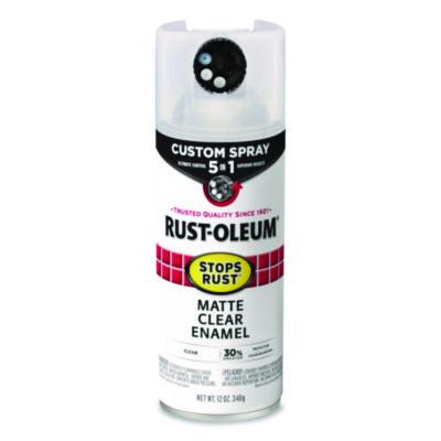 RST376868 PAINT,5IN1,MATTE,12OZ,CLR