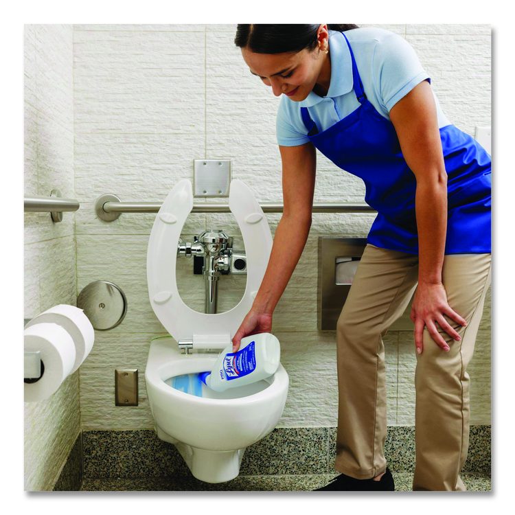 Disinfectant Toilet Bowl Cleaner, Wintergreen Scent, 32 oz Bottle, 12/Carton