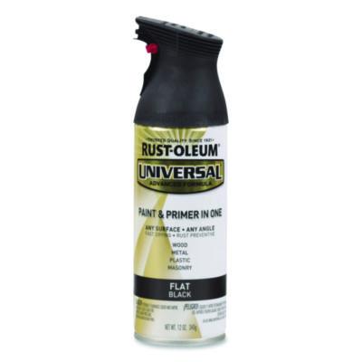 RST245198EA PAINT,FT UN,12OZ,BK