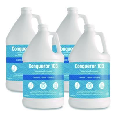 FRS1WBCHCT CLEANER,LIQCNQRR103 CH