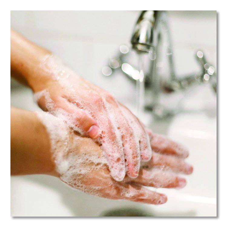 Antibacterial Defense Foaming Hand Wash, Original Scent, 1 gal (Each)