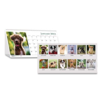 HOD3659 CALENDAR,DESKTP TENT,PUP