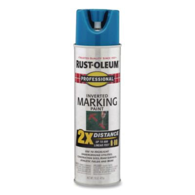RST266575 PAINT,PMP FT 15OZ,6,BE