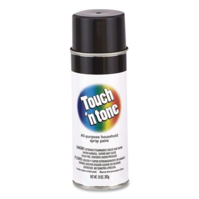 RST55276830 PAINT,TNT SP 10OZ,6,BK