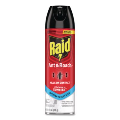 SJN366000EA INSECTICIDE,RAID,ANT&ROCH