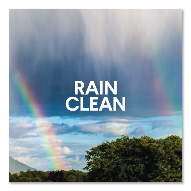 Clean-Up Multi-Surface Cleaner with Bleach, Rain Clean Scent, 32 oz Spray Bottle (Each)
