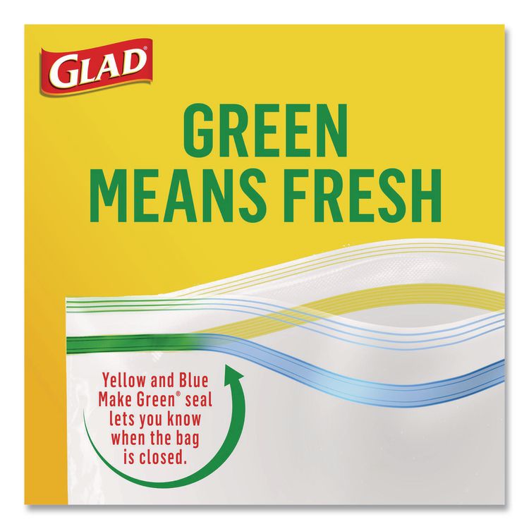 Zipper Food Storage Plastic Bags, Gallon Size, 10.75 x 10.19, Clear, 20 Bags/Box, 12 Boxes/Carton