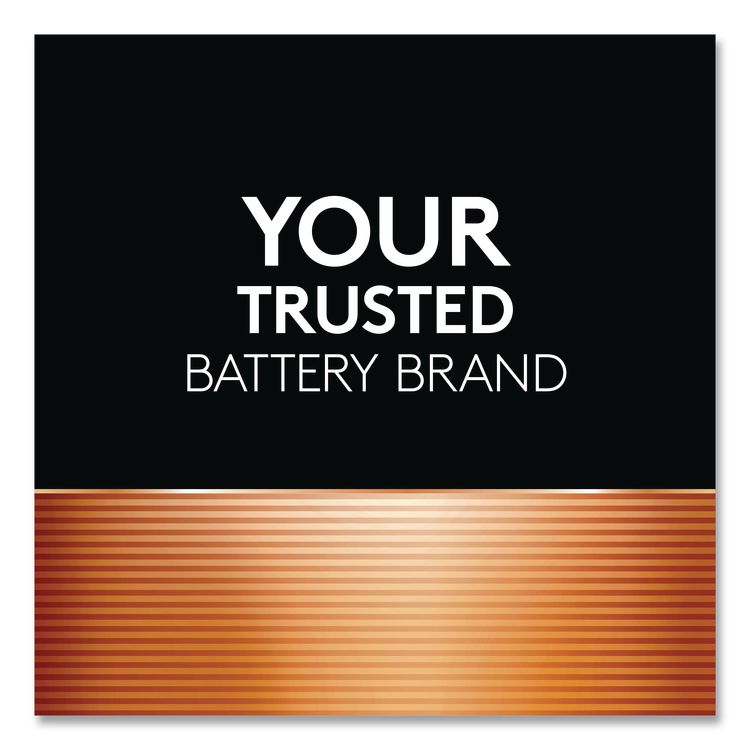 POWER BOOST Coppertop Alkaline AAA Batteries, 8/Pack