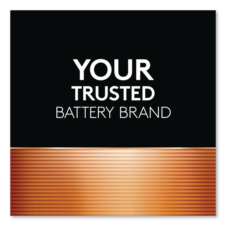 POWER BOOST Coppertop Alkaline AAA Batteries, 8/Pack, 40 Packs/Carton