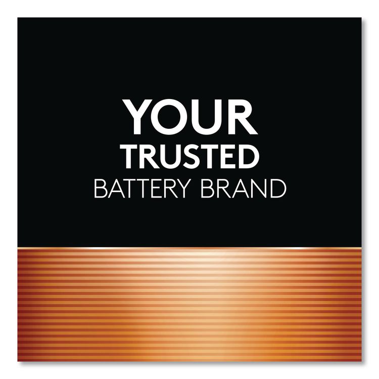 POWER BOOST Coppertop Alkaline AAA Batteries, 16/Pack