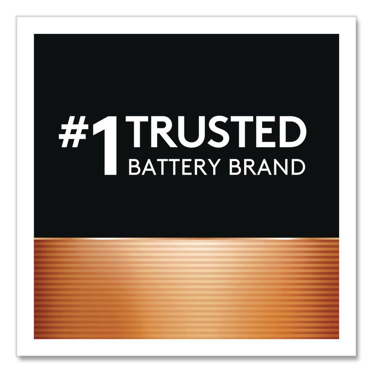 POWER BOOST Coppertop Alkaline AAA Batteries, 8/Pack