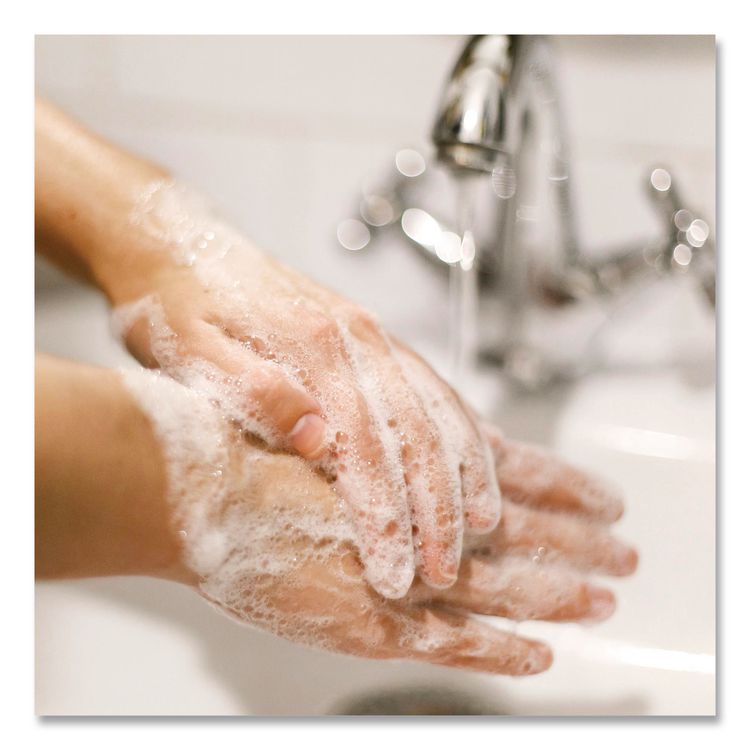 Basics Hypoallergenic Foaming Hand Wash Refill for 1700 Dispenser, Fresh Floral Scent, 1.7 L (Each)