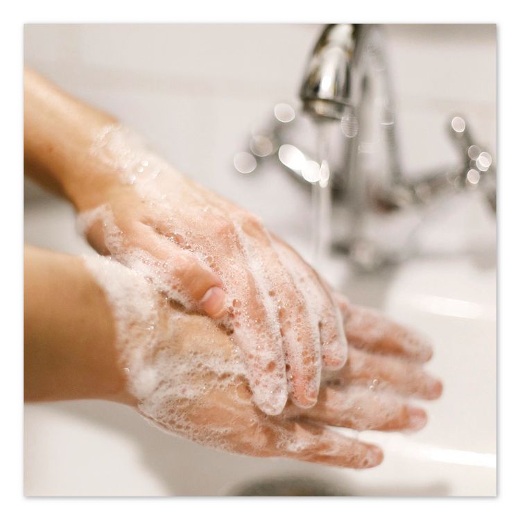 Antibacterial and Sensitive Liquid Hand Soap, Fragrance Free, 1 gal (Each)