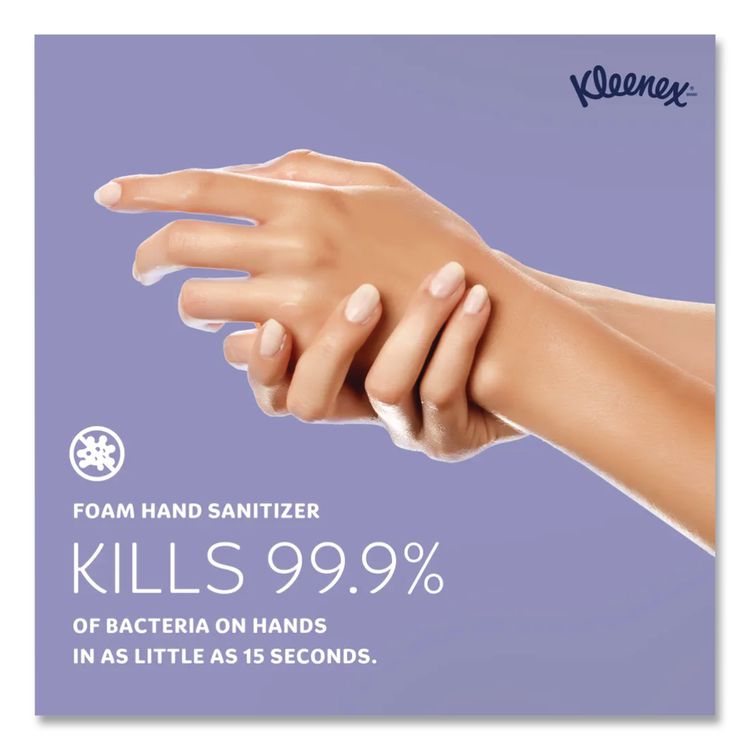 Alcohol-Free Foam Hand Sanitizer, 18 oz Pump Bottle, Fragrance-Free, 4/Carton