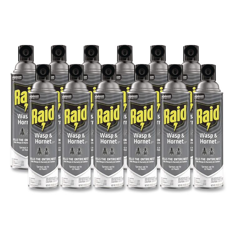 Wasp and Hornet Killer, 14 oz Aerosol Spray (Each)