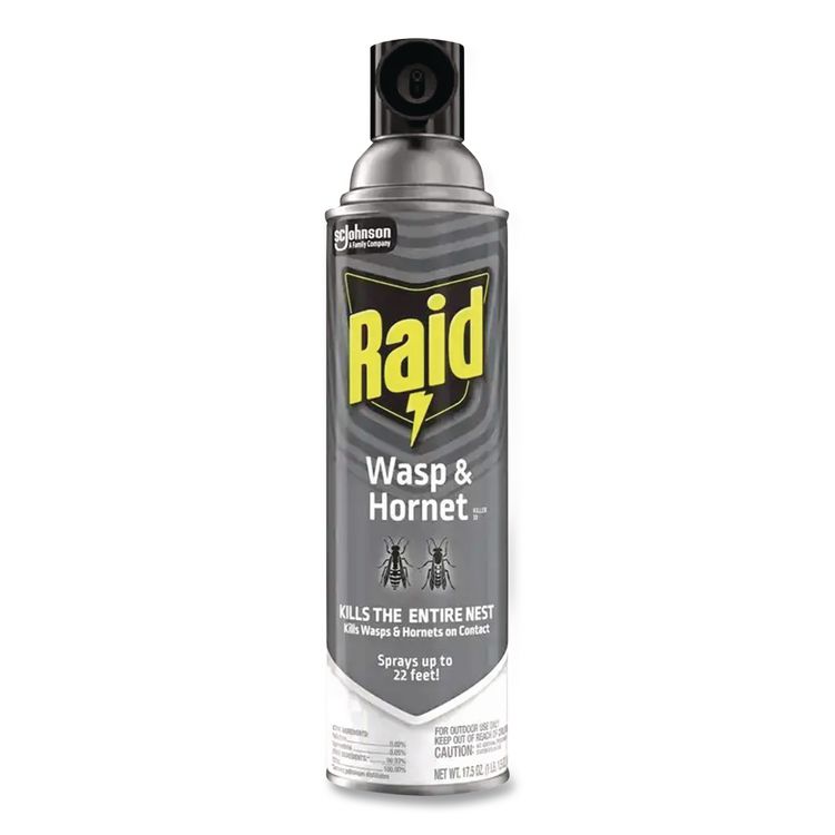 Wasp and Hornet Killer, 14 oz Aerosol Spray (Each)