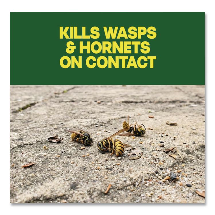 Wasp and Hornet Killer, 14 oz Aerosol Spray (Each)