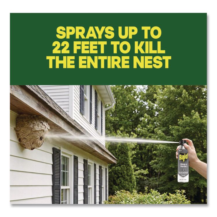 Wasp and Hornet Killer, 14 oz Aerosol Spray (Each)