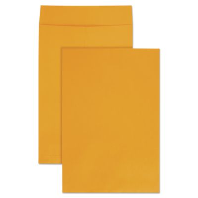 QUA42353 ENVELOPE,CAT12.5X18.5,28#