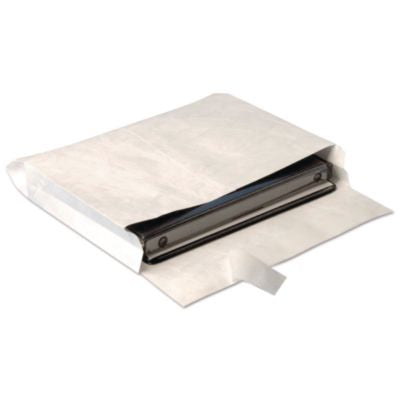 QUAR4610 ENVELOPE,TYVK,10X13X2,WE