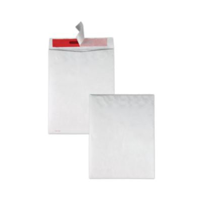 QUAR2420 ENVELOPE,TYVK,10X13,WE