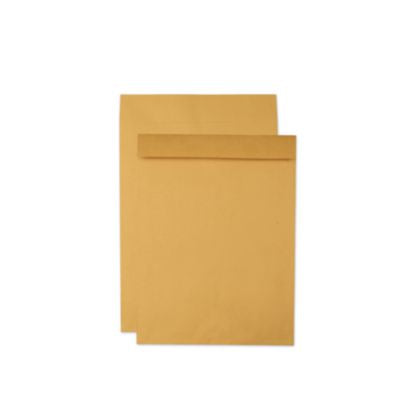 QUA42356 ENVELOPE,CAT17X22,28#BRKR