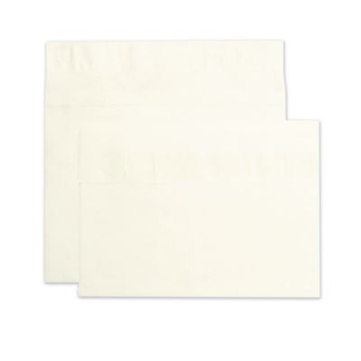 QUAR4450 ENVELOPE,TYVK,10X15X2,WE