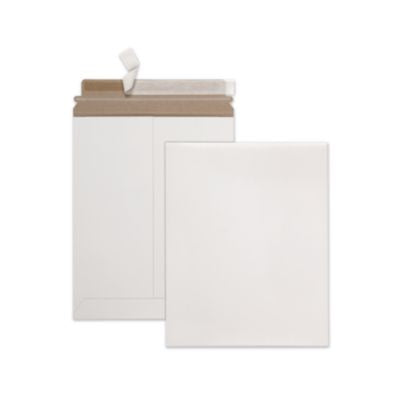 QUA64015 ENVELOPE,9.75X12.5PHTO,WE
