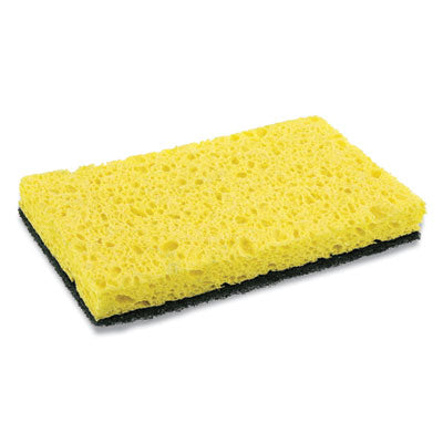 RPPS740C20 SPONGE,HVYDTY,WRPD,GN