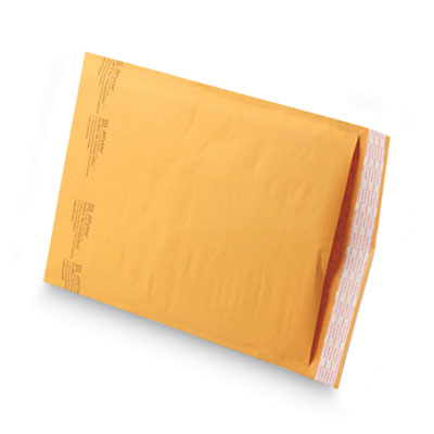 SEL39095 MAILER,SS-BBL9.5X14.5GDBR