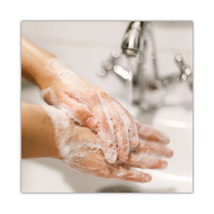 Basics MP Free Liquid Hand Soap Refill for Versa Dispenser, Unscented, 15 oz (Each)