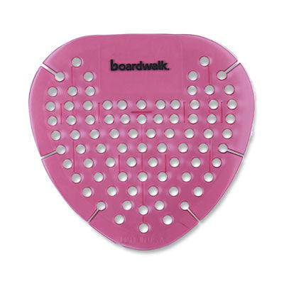BWKGEMSAP SCREEN,ECO SPICED APPLE