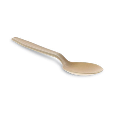 PCTYPSMSTEC SPOON,PSM,EARTHCH