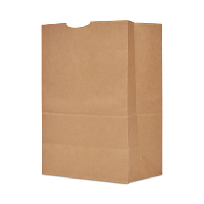 BAGSK1680 BAG,PPR,1/6BBL,80LB,400