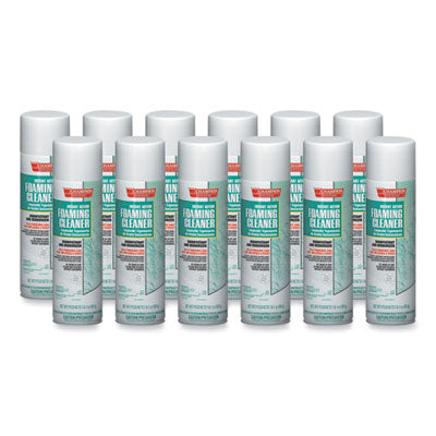 CHP5196 CLEANER,DISINF,FM,17OZ,12